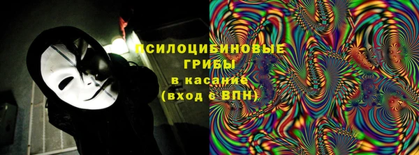 ГАЛЛЮЦИНОГЕННЫЕ ГРИБЫ Богородицк