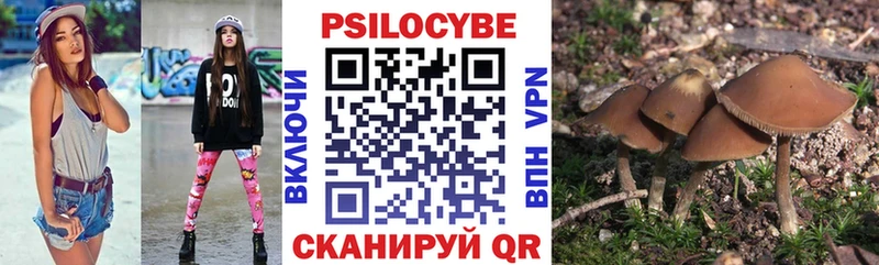 Галлюциногенные грибы Psilocybine cubensis  купить наркотики сайты  Кемь 
